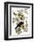 Audubon: Crow-John James Audubon-Framed Giclee Print