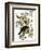 Audubon: Crow-John James Audubon-Framed Giclee Print