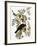 Audubon: Crow-John James Audubon-Framed Giclee Print