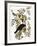 Audubon: Crow-John James Audubon-Framed Giclee Print