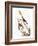 Audubon: Dickcissel-John James Audubon-Framed Giclee Print