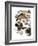 Audubon: Duck-John James Audubon-Framed Giclee Print