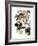 Audubon: Duck-John James Audubon-Framed Giclee Print