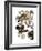 Audubon: Duck-John James Audubon-Framed Giclee Print