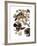 Audubon: Duck-John James Audubon-Framed Giclee Print