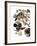 Audubon: Duck-John James Audubon-Framed Giclee Print