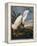 Audubon: Egret-John James Audubon-Framed Premier Image Canvas