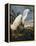 Audubon: Egret-John James Audubon-Framed Premier Image Canvas