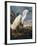 Audubon: Egret-John James Audubon-Framed Premium Giclee Print