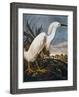 Audubon: Egret-John James Audubon-Framed Giclee Print
