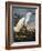 Audubon: Egret-John James Audubon-Framed Giclee Print