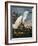 Audubon: Egret-John James Audubon-Framed Giclee Print