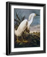 Audubon: Egret-John James Audubon-Framed Giclee Print