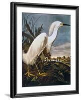 Audubon: Egret-John James Audubon-Framed Giclee Print