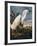 Audubon: Egret-John James Audubon-Framed Giclee Print