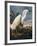 Audubon: Egret-John James Audubon-Framed Giclee Print