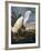 Audubon: Egret-John James Audubon-Framed Giclee Print