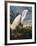 Audubon: Egret-John James Audubon-Framed Giclee Print