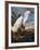 Audubon: Egret-John James Audubon-Framed Giclee Print