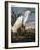 Audubon: Egret-John James Audubon-Framed Giclee Print