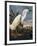 Audubon: Egret-John James Audubon-Framed Giclee Print