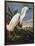 Audubon: Egret-John James Audubon-Framed Giclee Print