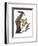 Audubon: Flicker-John James Audubon-Framed Premium Giclee Print