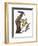 Audubon: Flicker-John James Audubon-Framed Premium Giclee Print