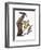 Audubon: Flicker-John James Audubon-Framed Premium Giclee Print