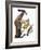 Audubon: Flicker-John James Audubon-Framed Giclee Print