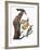 Audubon: Flicker-John James Audubon-Framed Giclee Print