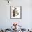 Audubon: Flicker-John James Audubon-Framed Giclee Print displayed on a wall