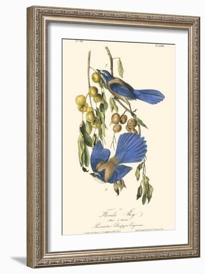 Audubon Florida Jays-John James Audubon-Framed Art Print