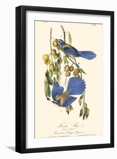 Audubon Florida Jays-John James Audubon-Framed Art Print