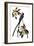 Audubon: Flycatcher, 1827-John James Audubon-Framed Premium Giclee Print