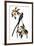 Audubon: Flycatcher, 1827-John James Audubon-Framed Giclee Print