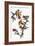 Audubon: Goldfinch-John James Audubon-Framed Giclee Print