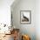 Audubon: Goose, 1827-John James Audubon-Framed Giclee Print displayed on a wall