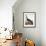 Audubon: Goose, 1827-John James Audubon-Framed Giclee Print displayed on a wall