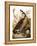 Audubon: Goose-John James Audubon-Framed Premier Image Canvas