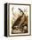 Audubon: Goose-John James Audubon-Framed Premier Image Canvas