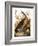 Audubon: Goose-John James Audubon-Framed Giclee Print