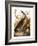 Audubon: Goose-John James Audubon-Framed Giclee Print