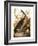 Audubon: Goose-John James Audubon-Framed Giclee Print