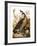 Audubon: Goose-John James Audubon-Framed Giclee Print