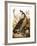 Audubon: Goose-John James Audubon-Framed Giclee Print