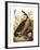 Audubon: Goose-John James Audubon-Framed Giclee Print