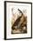 Audubon: Goose-John James Audubon-Framed Giclee Print