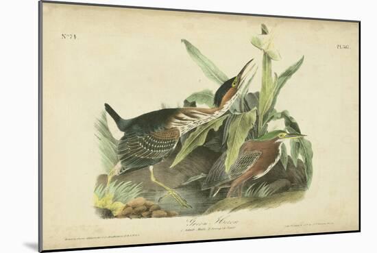 Audubon Green Heron-John James Audubon-Mounted Art Print