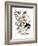 Audubon: Grosbeak-John James Audubon-Framed Giclee Print